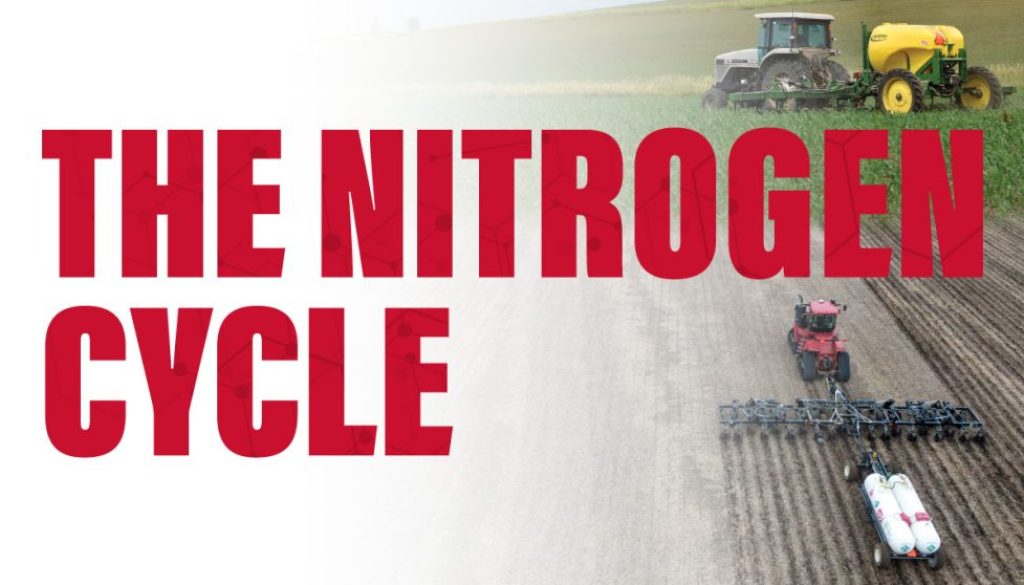 The Nitrogen Cycle