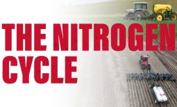 The Nitrogen Cycle