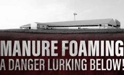 A hog barn with text overlaid that says "Manure Foaming: A Danger Lurking Below"