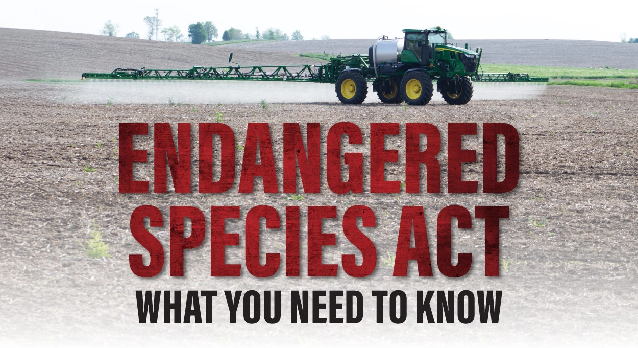 Endangered Species Act What You Need to Know Stutsmans